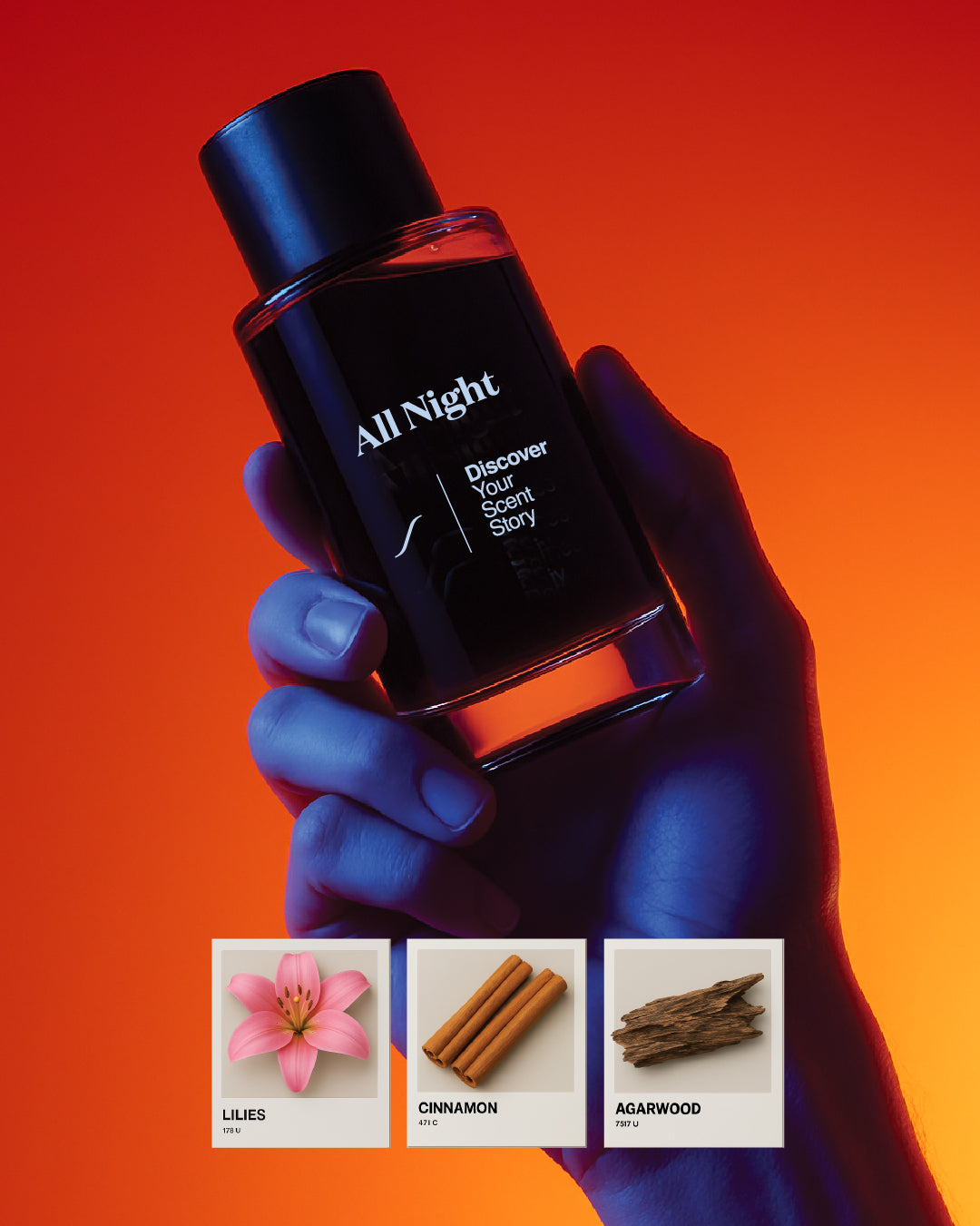 All Night 50 ML